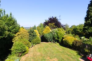 Photo 24- click for photo gallery